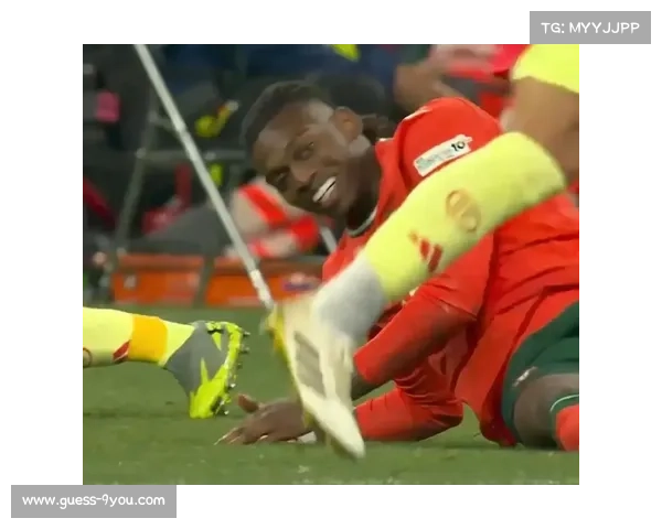 莱奥退出葡萄牙集训，身体状况成谜