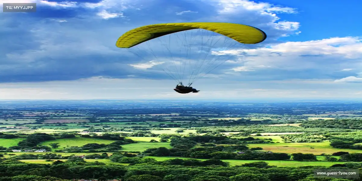 九游官网——🚣‍♀️💦 双桨翻飞，劈波斩浪！